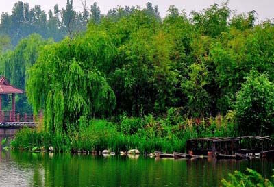 ɽ�|�H����15����ع��@